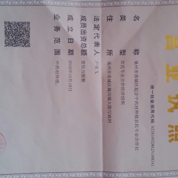 牡丹20cm以上18~20cm1.5~2米