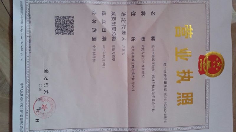 牡丹20cm以上18~20cm1.5~2米