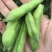 精装白皮胡豆颗粒饱满，少量上市欢迎采购，专业代发