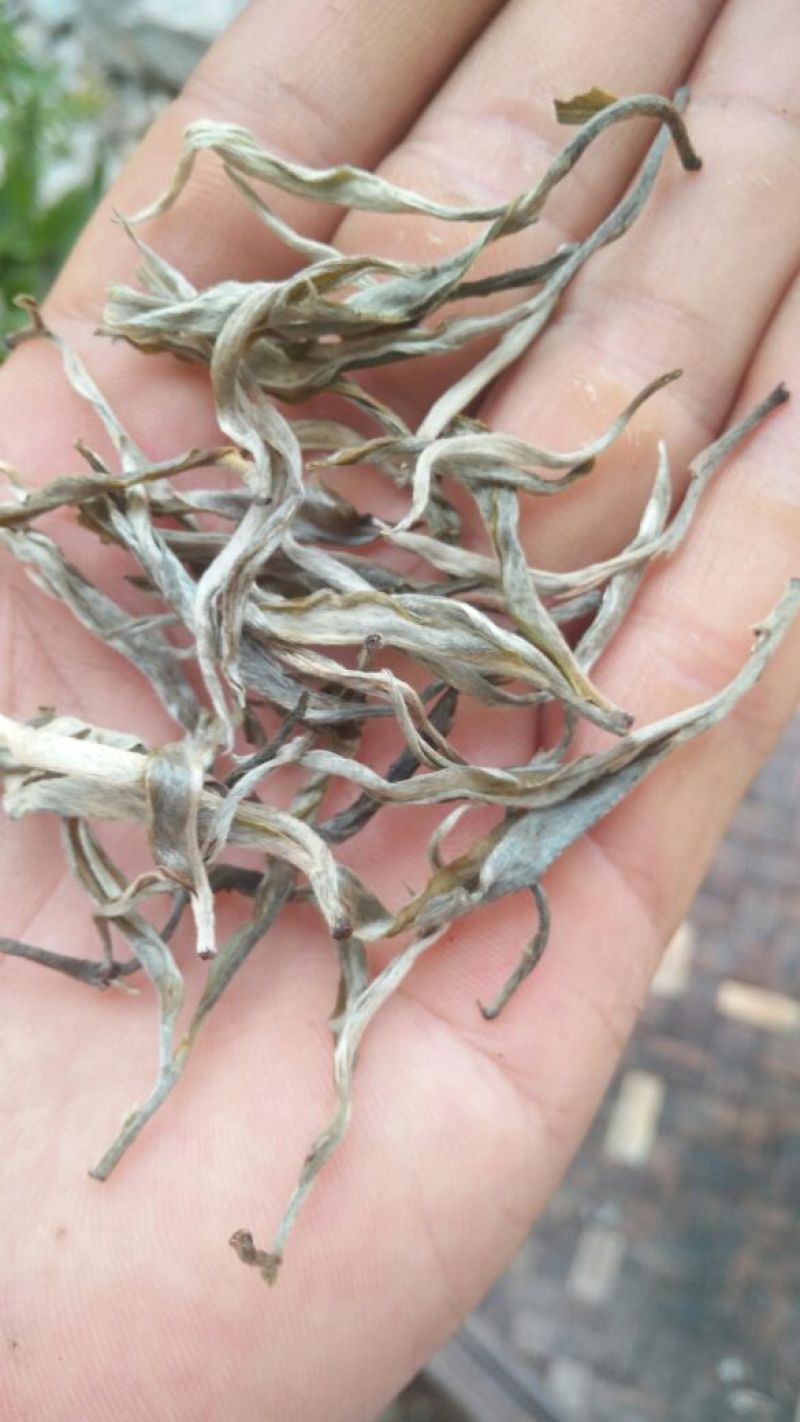 古树普洱茶三级