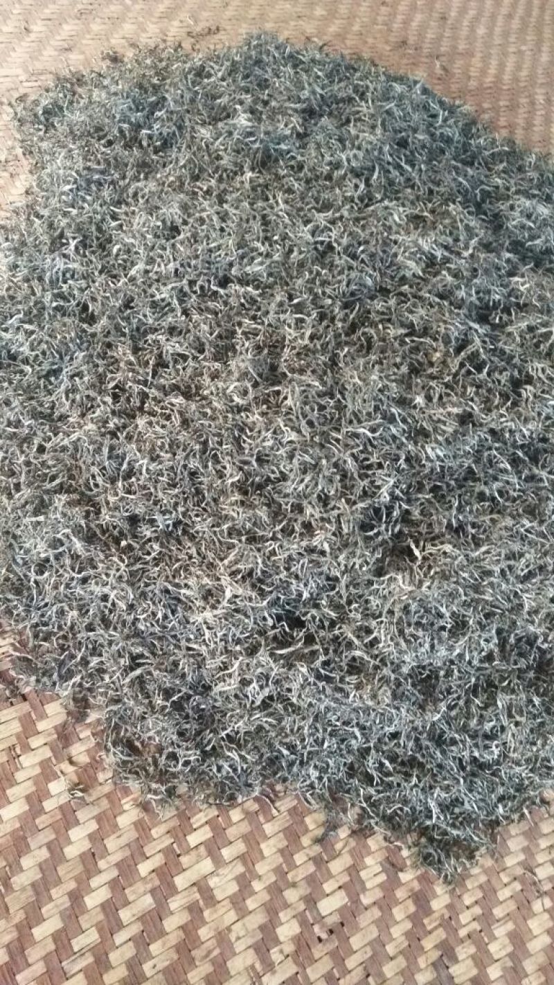 古树普洱茶三级