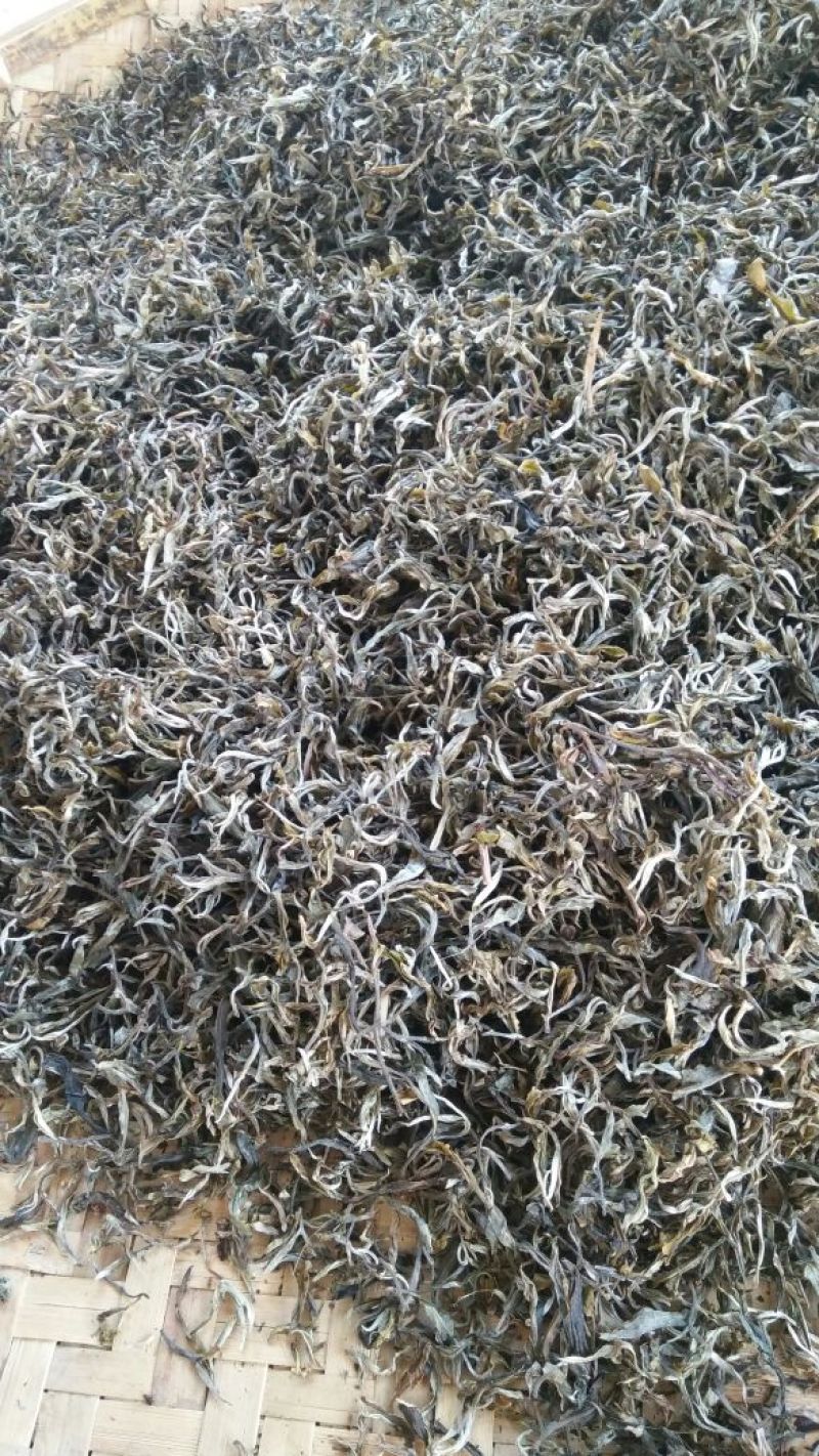 古树普洱茶三级