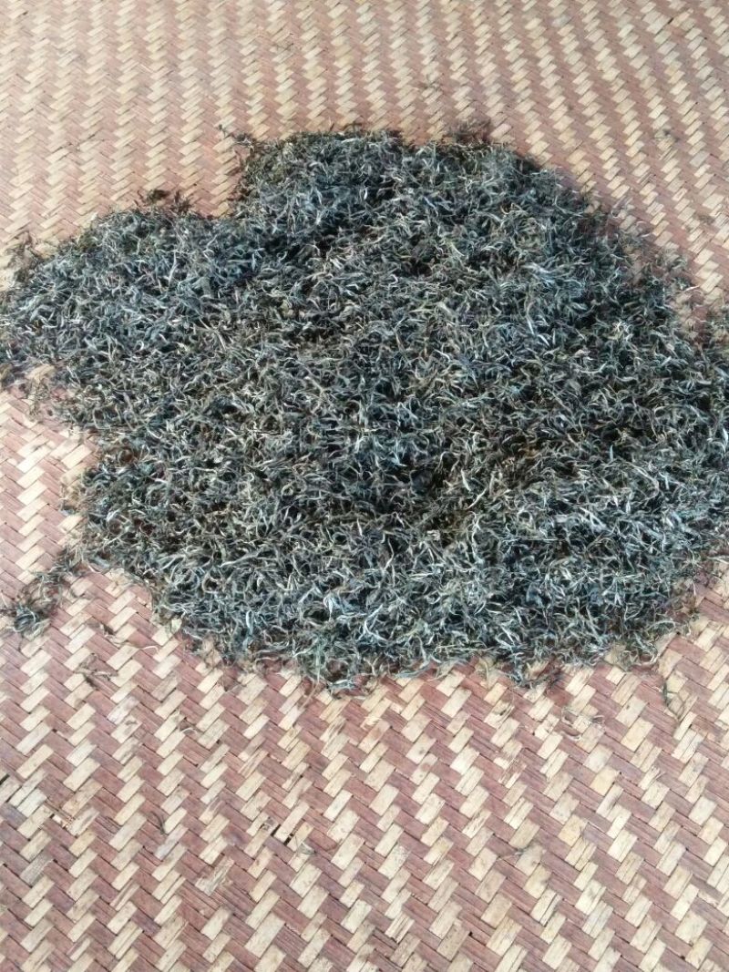 古树普洱茶三级