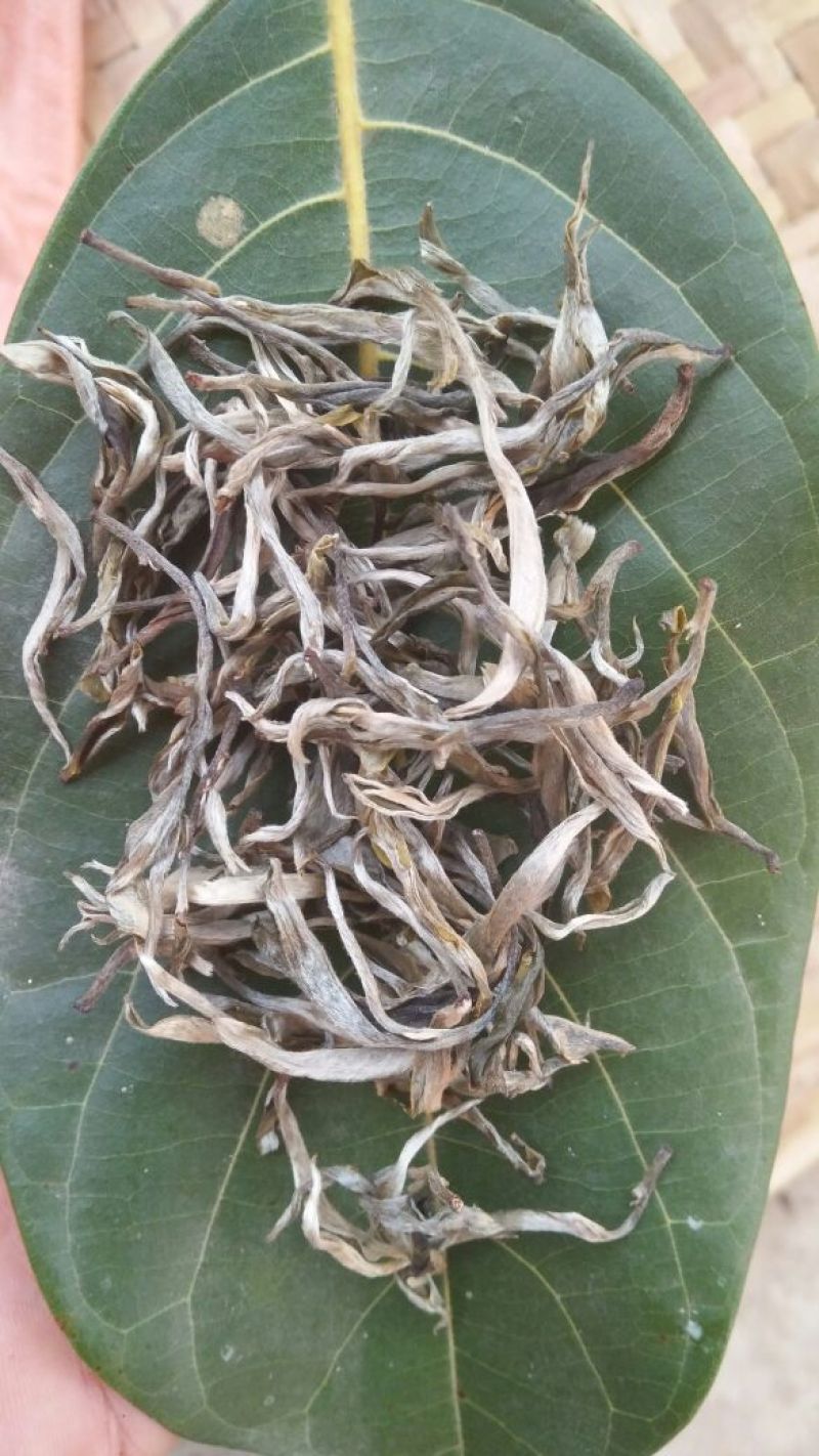 古树普洱茶三级