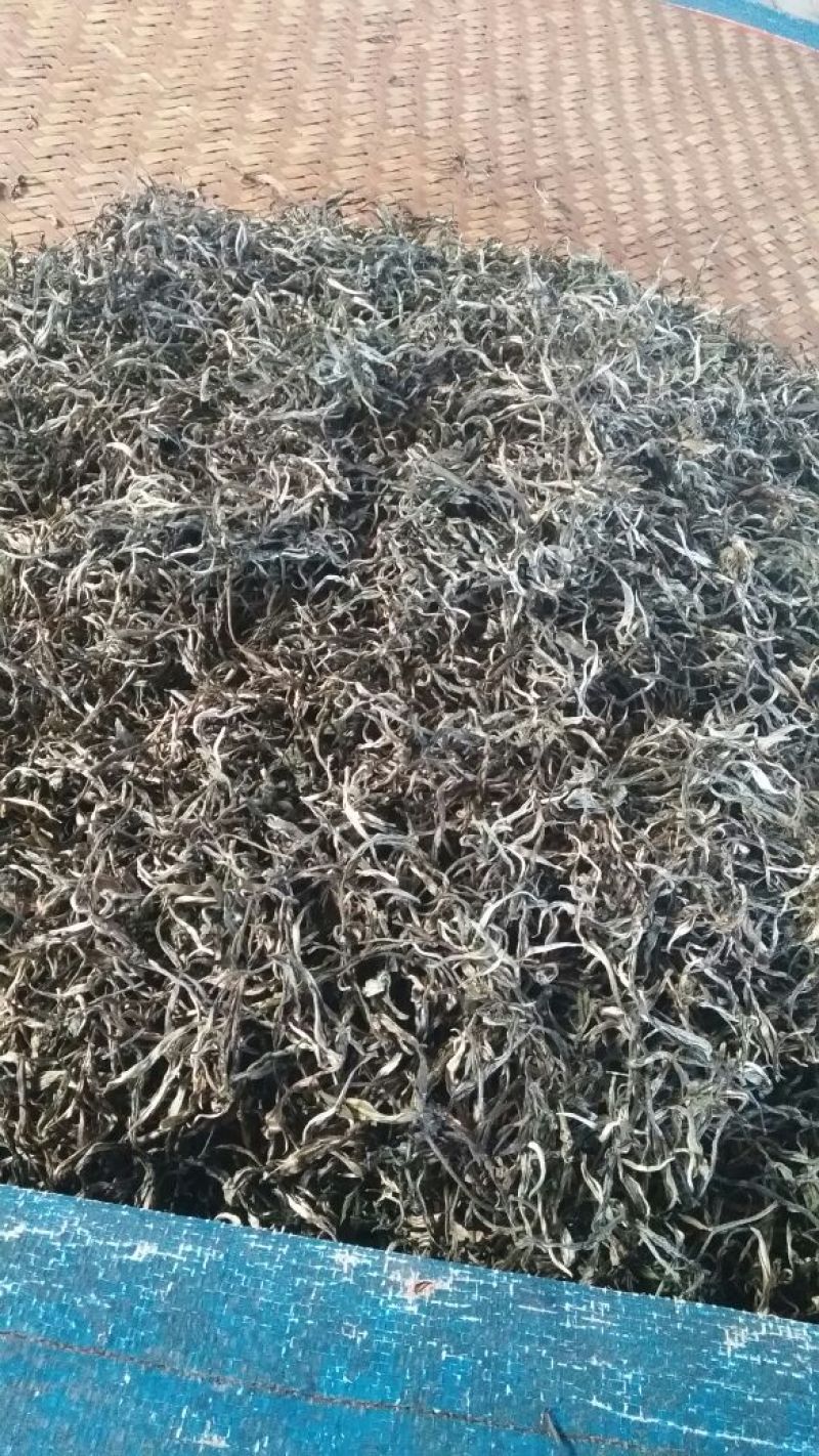 古树普洱茶三级