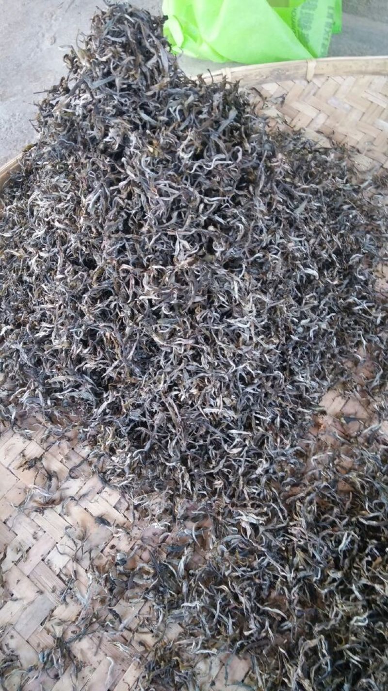 古树普洱茶三级