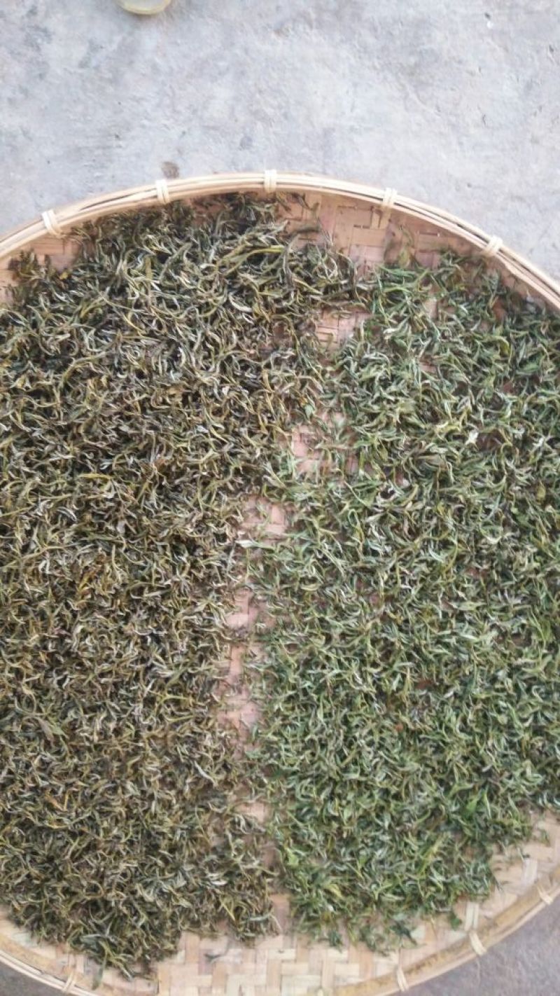 古树普洱茶三级