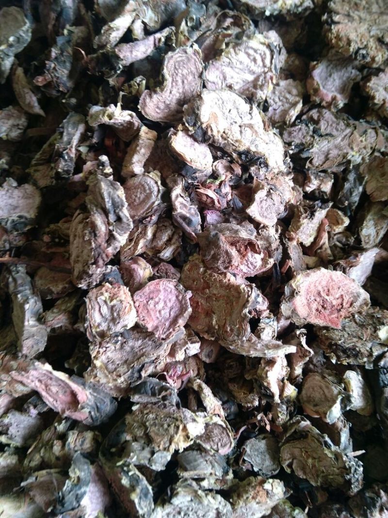 红景天西藏大花选货各种规格2斤起包邮