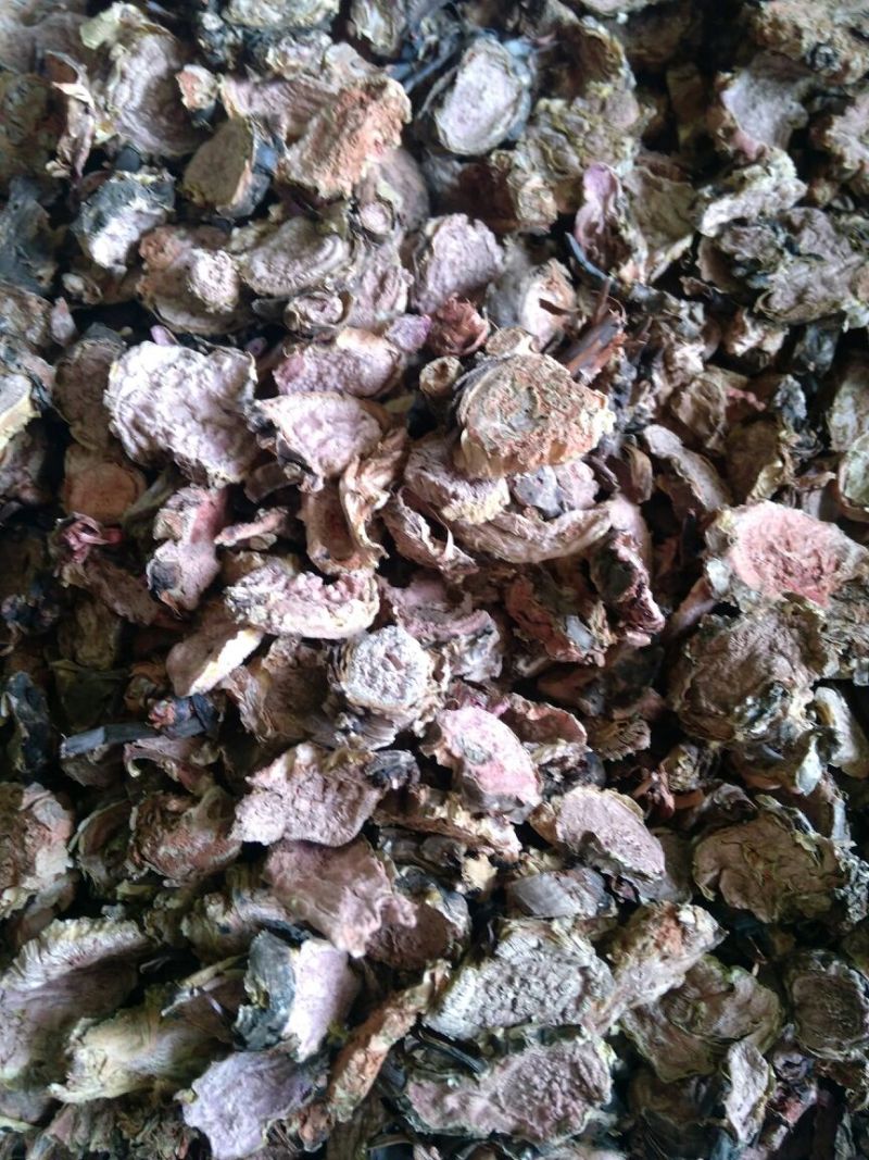 红景天西藏大花选货各种规格2斤起包邮