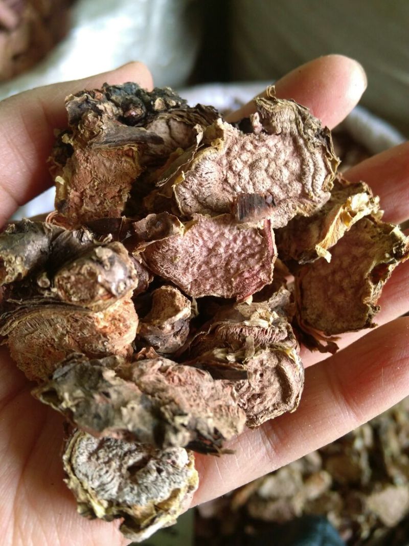 红景天西藏大花选货各种规格2斤起包邮