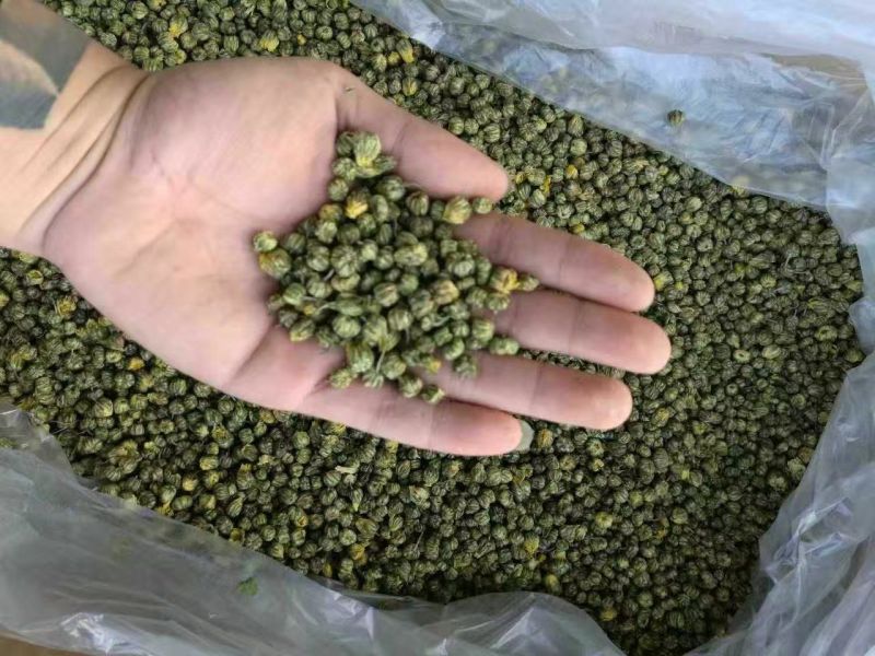白菊花茶
