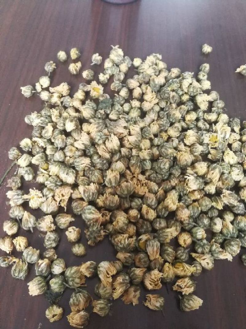 白菊花茶
