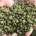 白菊花茶
