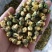 白菊花茶