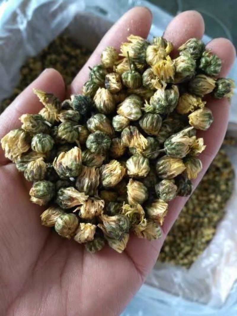 白菊花茶