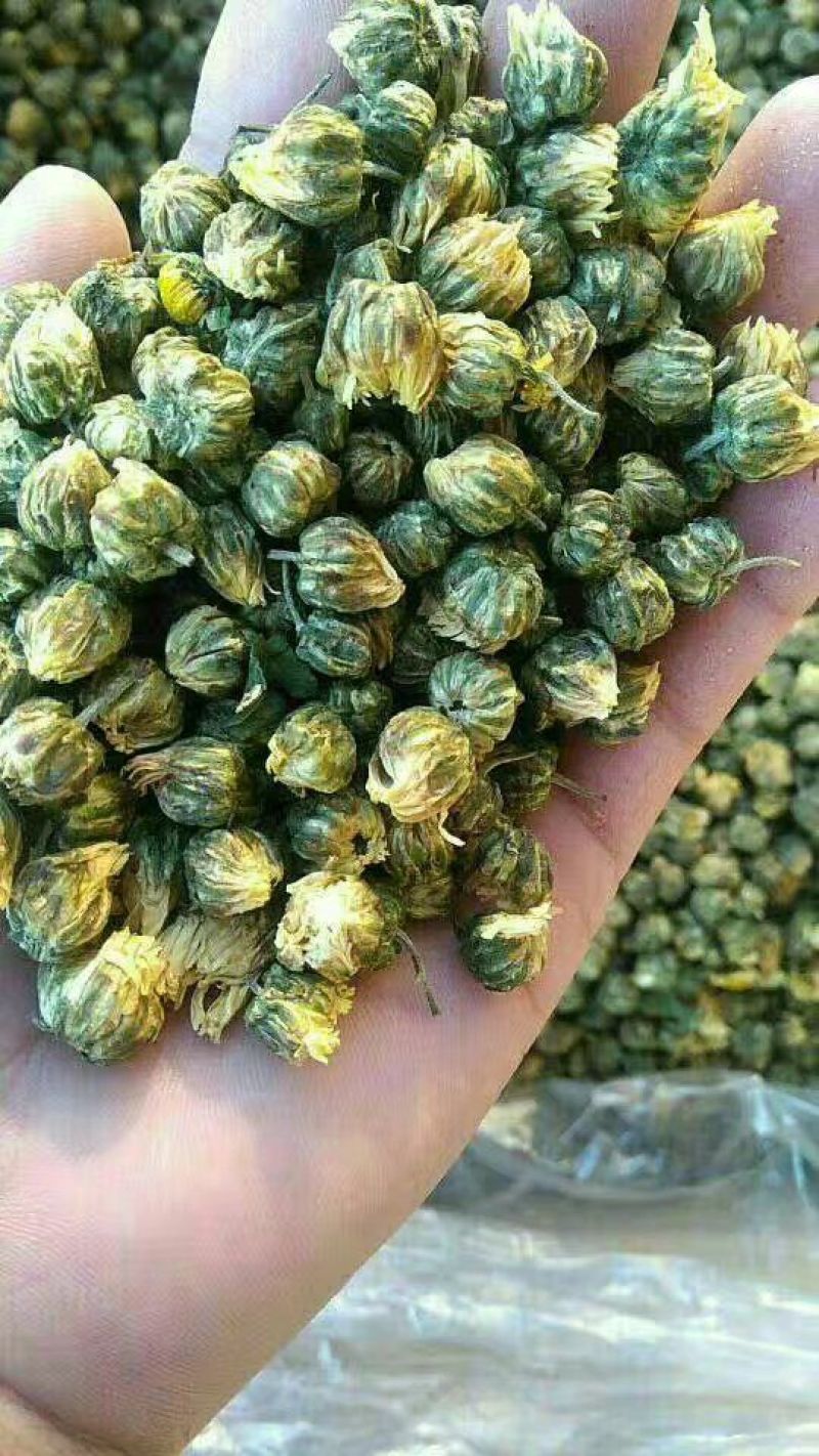 白菊花茶