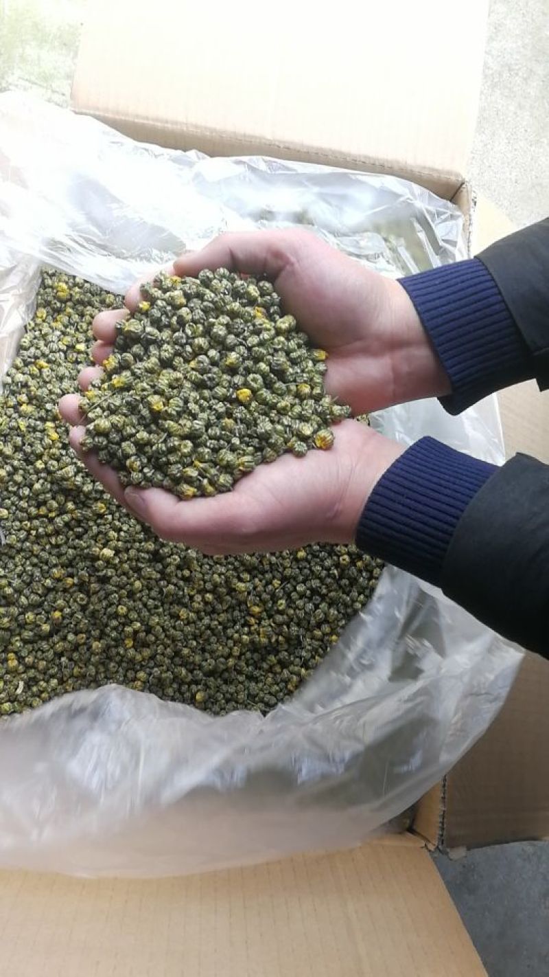 白菊花茶