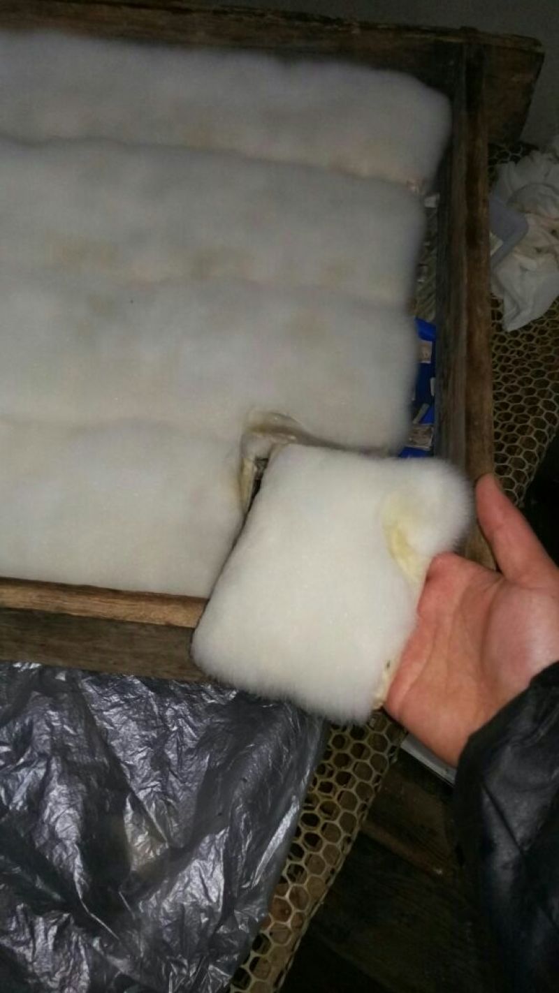 豆腐皮