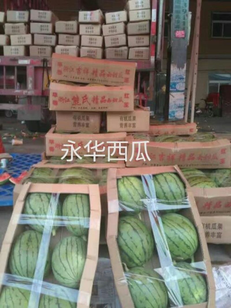 早春红玉，冰淇淋小糖丸西瓜产地直供支持看货