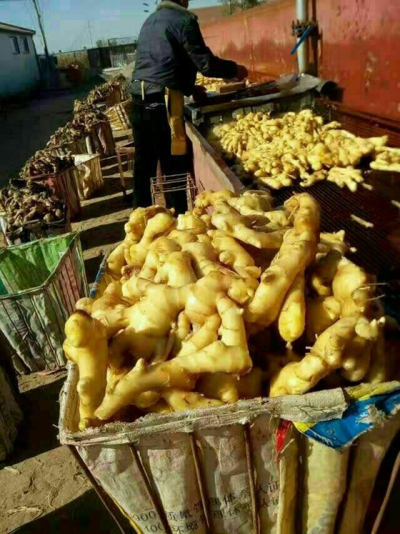 生姜4两以上水洗