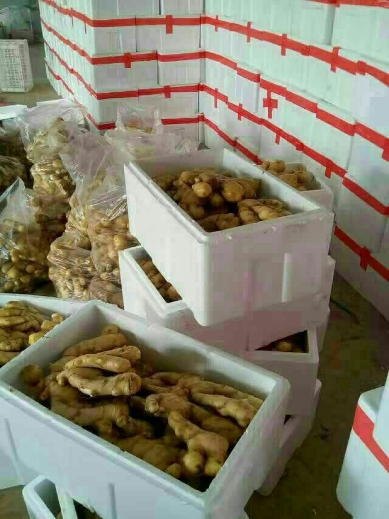生姜4两以上水洗