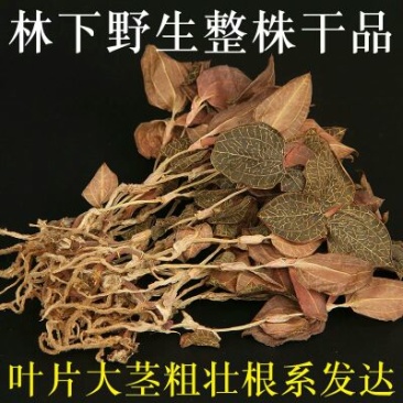 金线莲干货金线莲茶整株批发零售各种规格中药材