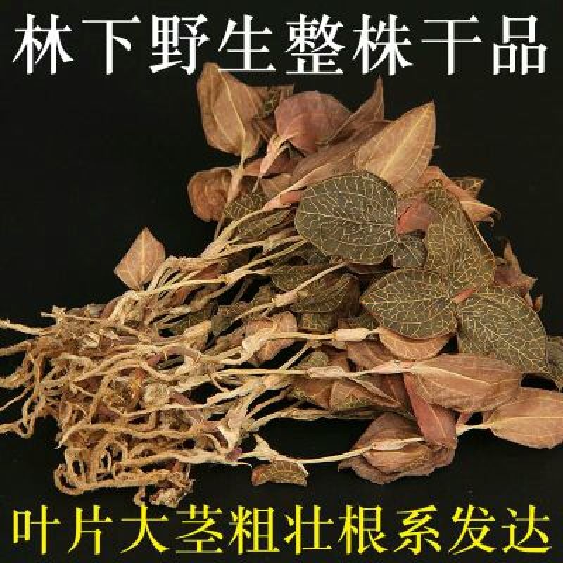 金线莲干货金线莲茶整株批发零售各种规格中药材