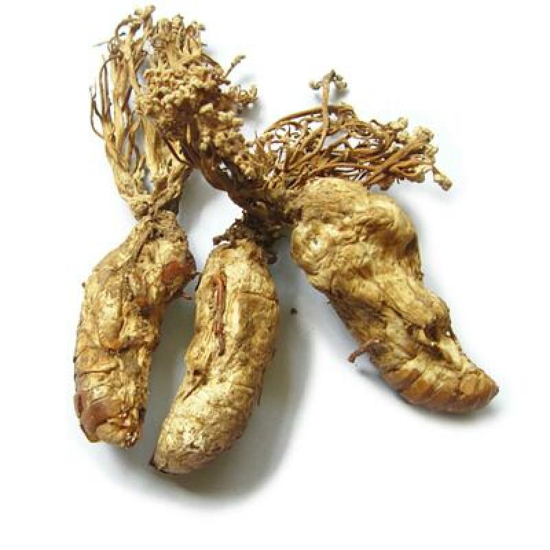 金蝉花一斤包邮各种中药材批发质量保证产地直销
