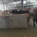 肉牛200~300斤