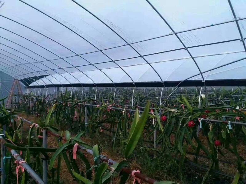 花卉大棚镀锌管大棚
