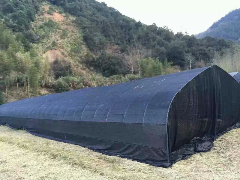 养殖大棚镀锌管大棚