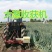 收获机三点悬挂式