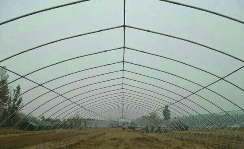 蔬菜大棚镀锌管大棚养殖大棚连栋大棚使用寿命十年以上