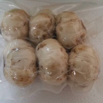 兰州百合