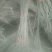 石榴树树苗突尼斯软籽庭院果树盆栽南方北方种植特大无籽石榴