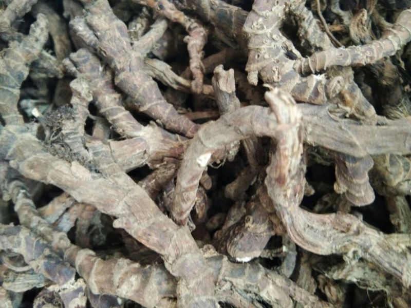 浙江石菖蒲统条干货供应