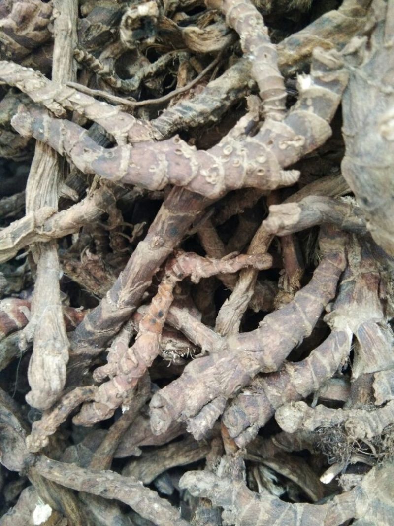 浙江石菖蒲统条干货供应