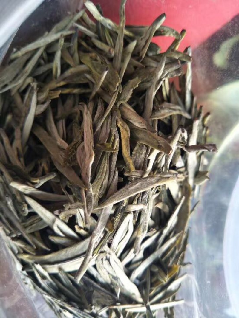 老树茶