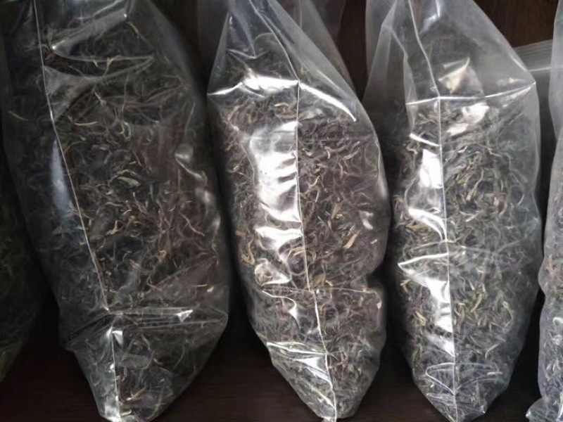 老树茶