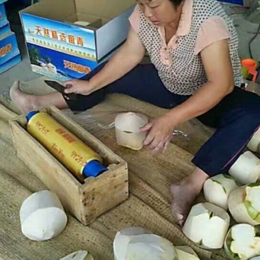 椰青5~6斤