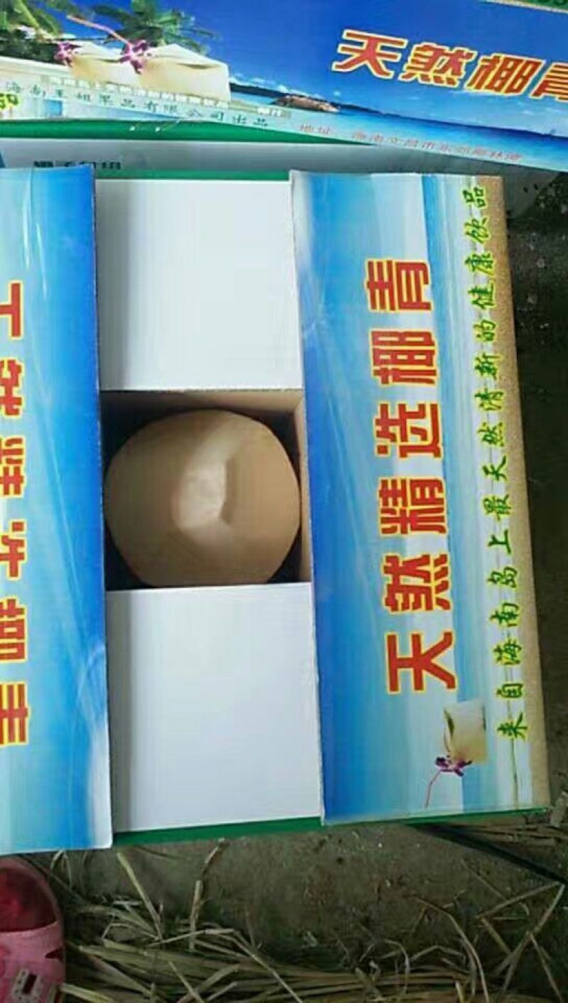 椰青5~6斤