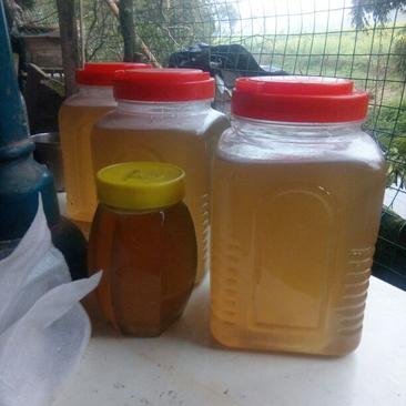 土蜂蜜2斤