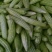 苦瓜大量上市中货好新鲜还有茄子豆角节瓜等