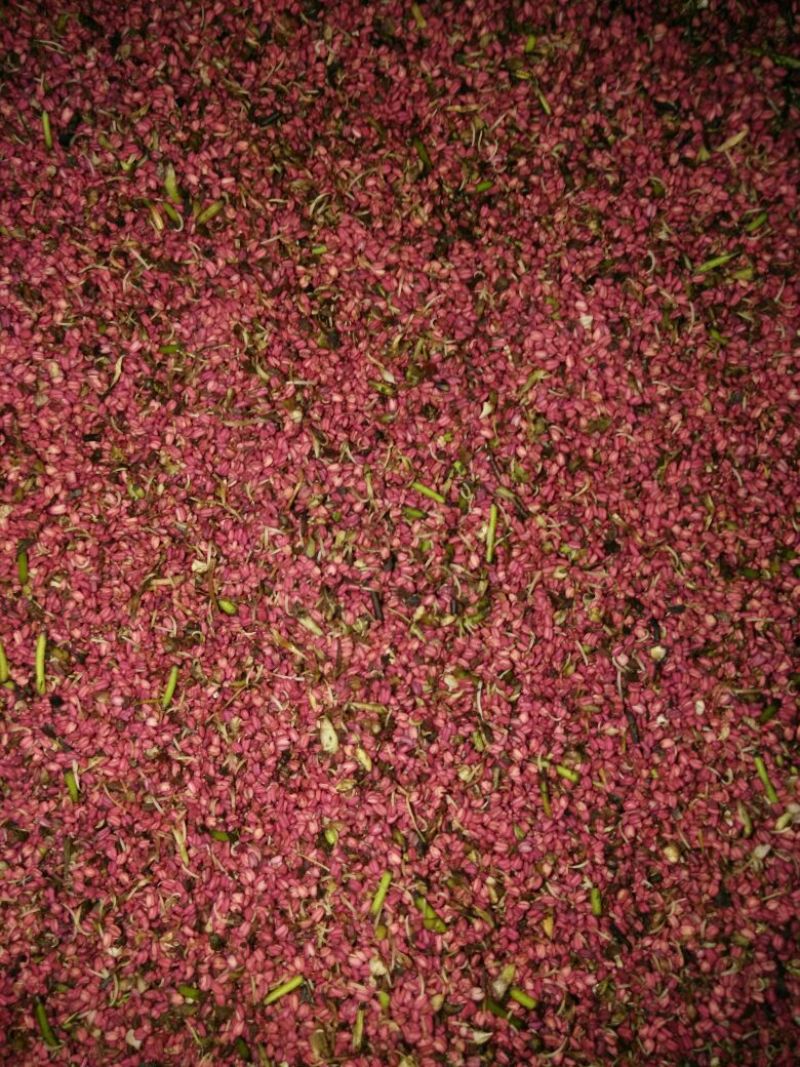 梨花粉
