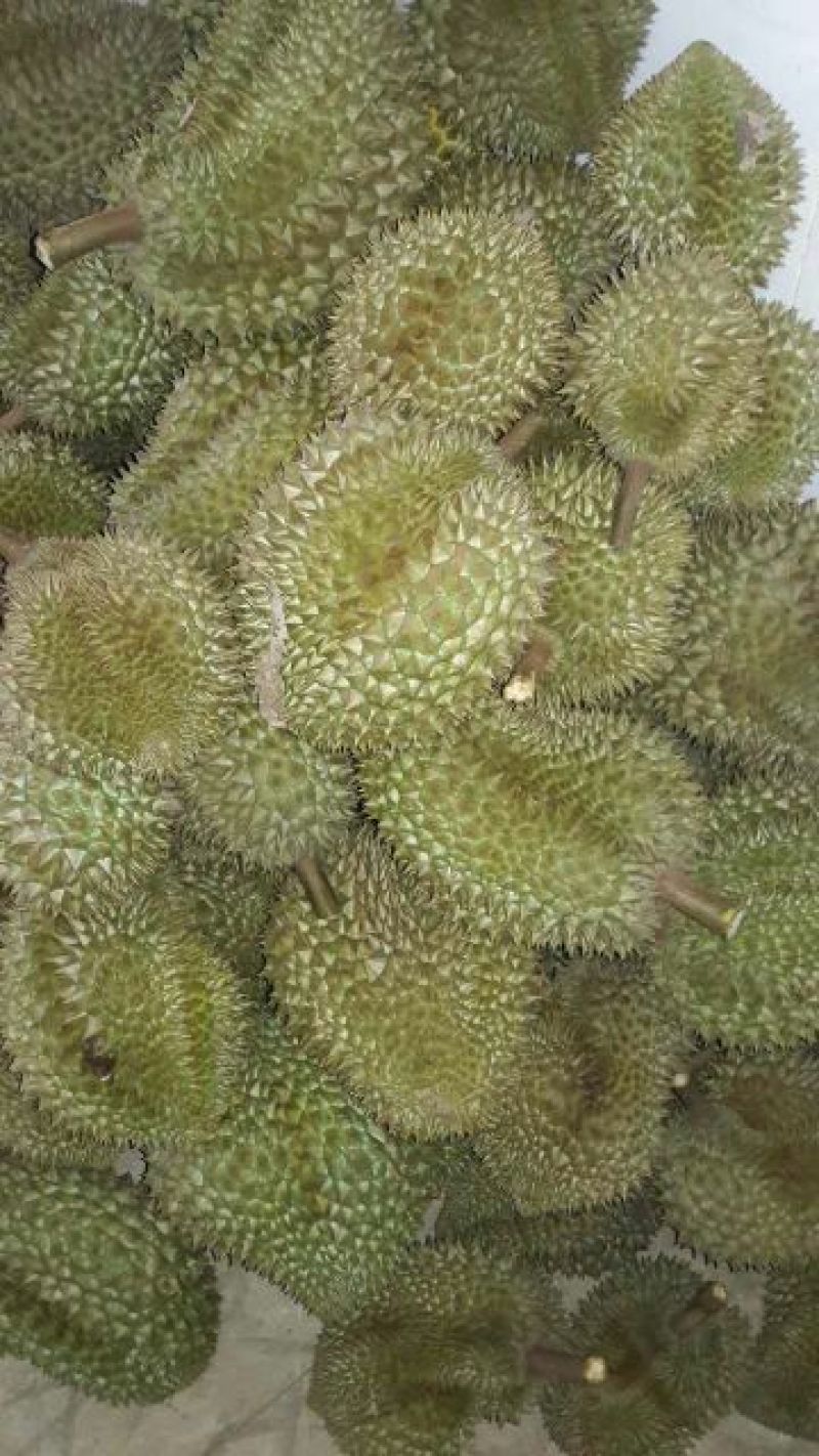 金枕头榴莲3~5斤