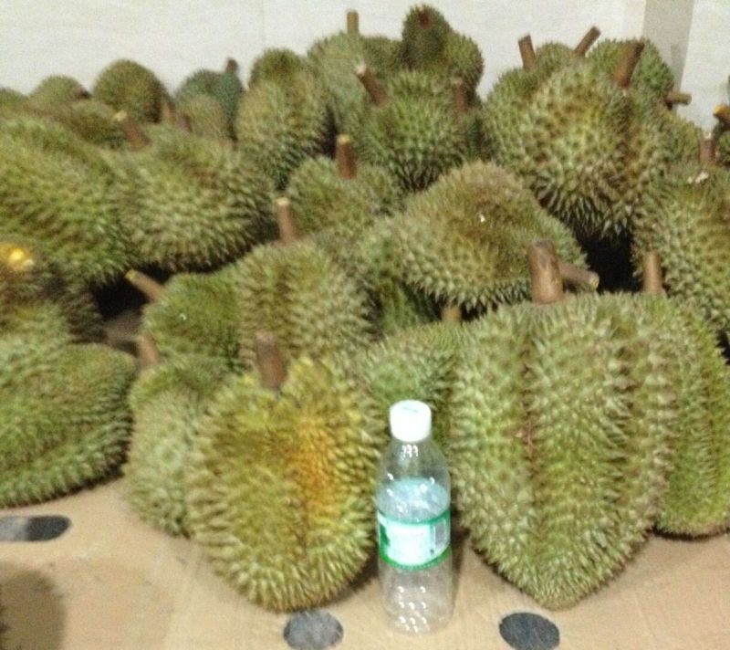金枕头榴莲3~5斤