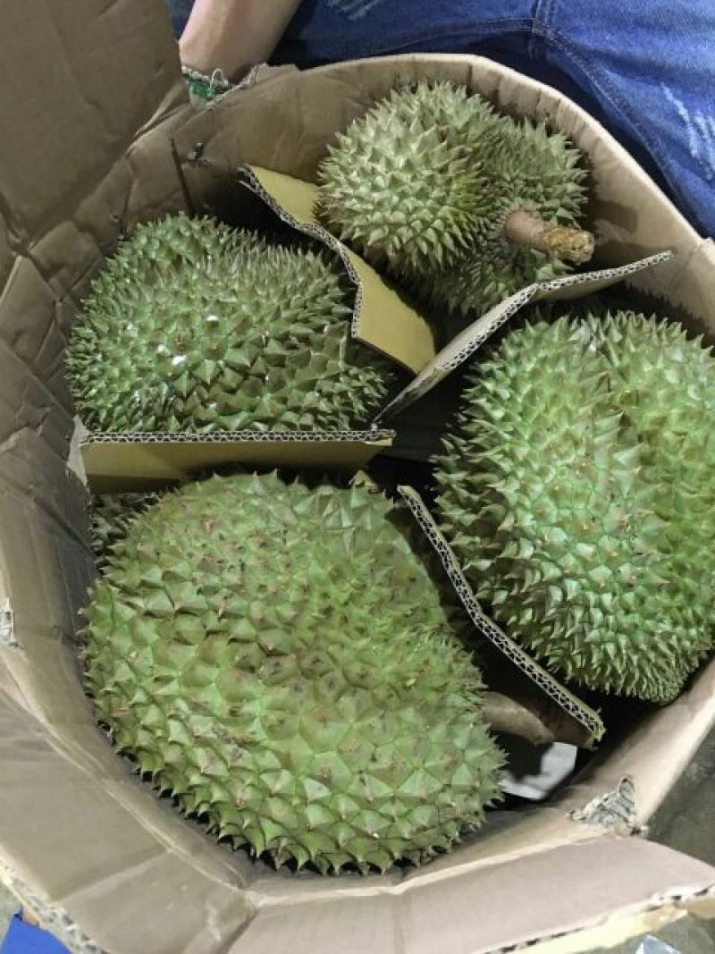 金枕头榴莲3~5斤