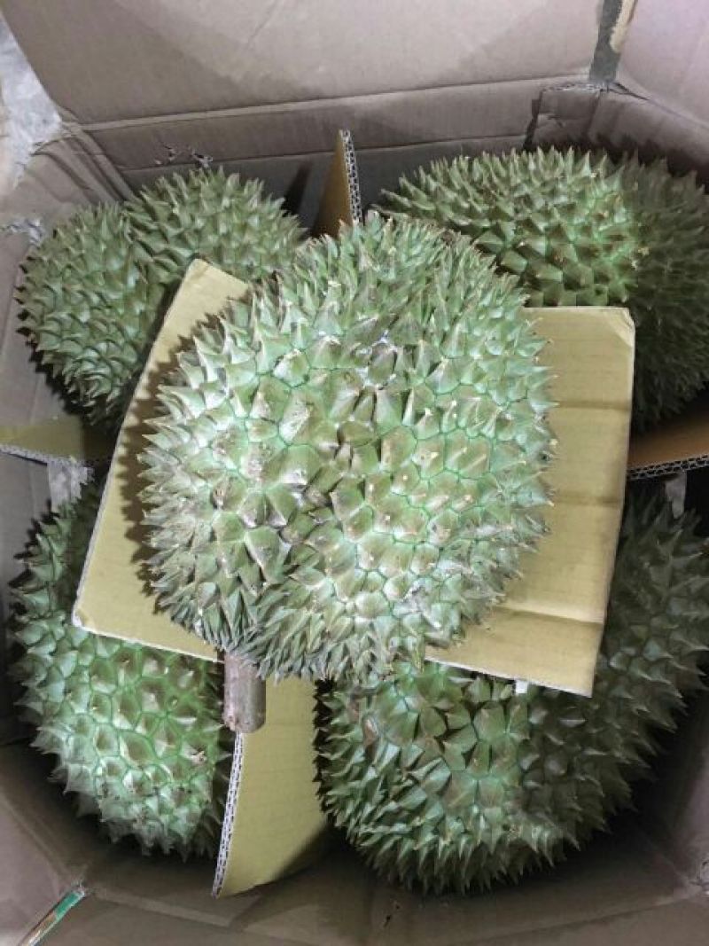 金枕头榴莲3~5斤