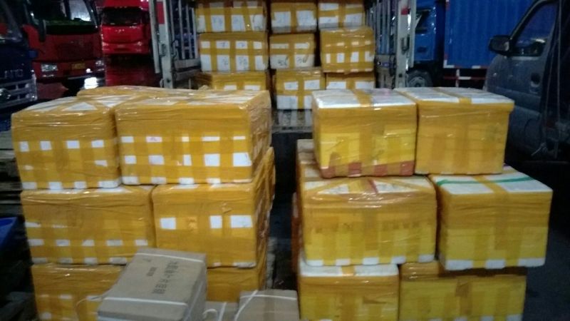 韭菜花20~25cm产地常年供应商。尽力最好的
