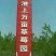 美国甜查理草莓30克以上